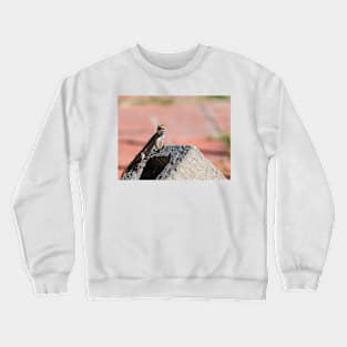 Big Grin Crewneck Sweatshirt